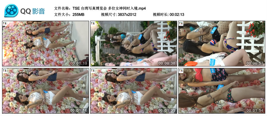 TSE 台湾写真博览会 多位女神同时入境 [MP4-255MB]