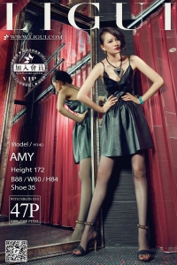 [Ligui丽柜] 2015.11.27 网络丽人 Model AMY [47P]