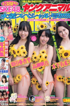 [Young Animal] 2013 No.14 SKE48 [40P]